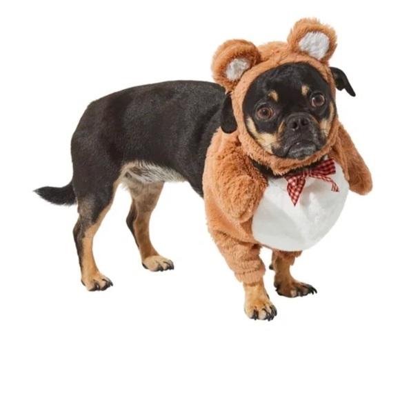 Brown Bear Costume for Cats or Small Dogs - Picture 2 of 3